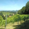 Отель Weingut Schatz, фото 12