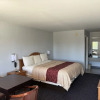 Отель Clairmont Inn, фото 7