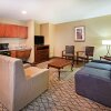 Отель Holiday Inn Express Hotel & Suites Houston-Downtown Conv Ctr, an IHG Hotel, фото 26
