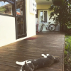Отель Jejuswidagageyguest House, фото 8