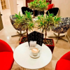 Отель Executive Suites, фото 13