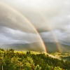 Отель Leconte Mountain Lodge, фото 23