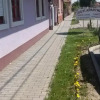 Отель Vigyi Apartman Gyula, фото 7