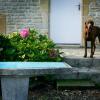 Отель B&B Ferme De La Tourelle, фото 8