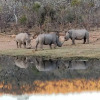 Отель Ilanga Lodge, фото 11