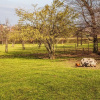 Отель Quaint Holiday Home in Limburg Near Cauberg, фото 7