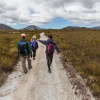 Отель Southwest Wilderness Camp - Tasmania, фото 15