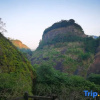 Отель Wuyi Mountain Youlan Homestay, фото 7