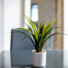 Отель Guestready - Vibrant & Warm Apartment in Central Birmingham, фото 14