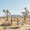 Отель AutoCamp Joshua Tree, фото 22