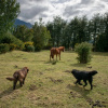 Отель Andes Lodge, фото 11