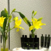 Отель The Windermere Manor Hotel & Conference Center, фото 10