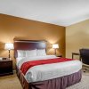 Отель Comfort Suites Florence - Cincinnati South, фото 50