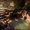 Отель River Club 101 2 Bedroom Condo by Alpine Lodging Telluride, фото 21