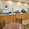 Отель Country Inn & Suites by Radisson, Birch Run-Frankenmuth, MI, фото 9