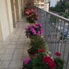 Отель Chambre Ajaccio, фото 1