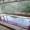 Отель Arima Onsen Gekkoen Yugetsusanso, фото 18