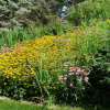 Отель Cloran Mansion Bed & Breakfast, фото 4