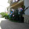 Отель The Green Guest House в Кишиневе
