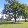 Отель Estancia El Cangue, фото 36