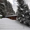 Отель Chalet Edelweiss, фото 14