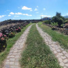 Отель Quinta de São Braz, фото 10