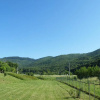 Отель Agriturismo Fattoria Di Gragnone, фото 17