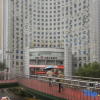Отель Jinlong Hotel, фото 15