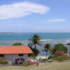 Отель Coral Cove Cottages and Apartments, фото 3