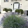 Отель Ivy - Modern With Terrace - A3 Tratincica, фото 15