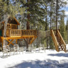 Отель Treehouse by Avantstay Secluded Mountain Cabin w/ Views, Hot Tub & Treehouse!, фото 1