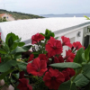 Отель Apartments Villa Šibenik, фото 4