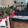 Отель Casa Kimbo, фото 3