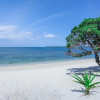 Отель Trikora Beach Club & Resort, фото 13