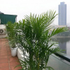 Отель Grand Spring Suites - Pham Huy Thong, фото 2