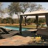 Отель Elandela Private Game Reserve & Luxury Lodge, фото 14