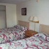 Отель White Feather Motel, фото 9