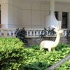 Отель Guest House For Diplomatic Missions, фото 19