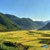 Отель Yuejingyun Lake View Hostel, фото 1