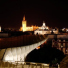 Отель Palace Sevilla, фото 43