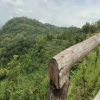 Отель Dempak Indah Camp and Resort, фото 10