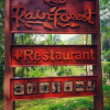 Отель Sinharaja Rainforest View Villas, фото 3