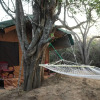 Отель Yala Bear Safari Camp Tents, фото 1