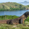 Отель Meruorah Komodo Labuan Bajo - Formerly INAYA Bay Komodo, фото 30