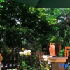 Отель Pulu Inn, фото 14