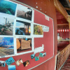 Отель Seahorse Lodge, фото 10