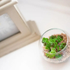 Отель Greyfriars Flat, фото 4