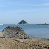 Отель Gyeongsang Namhae Haebyeon Tongnamu Pension, фото 5