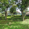 Отель Villa Rose Gunung Bunder by Ruang Nyaman, фото 15