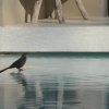 Отель Casas de Agua, фото 18